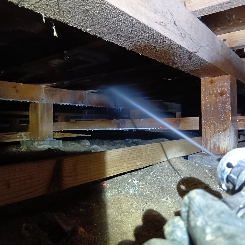 築年数43年のシロアリ駆除の施工事例（東京都多摩市聖ヶ丘）