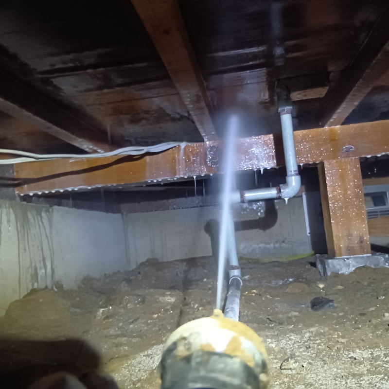 床下木材にシロアリ駆除剤を吹き付ける様子