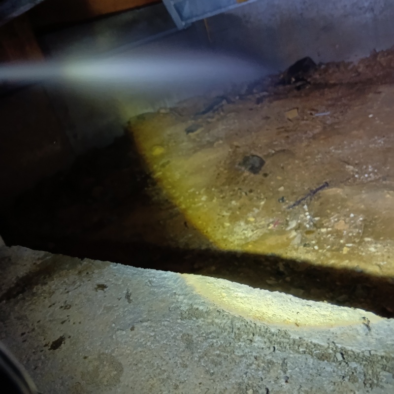 地面にシロアリ駆除剤を散布