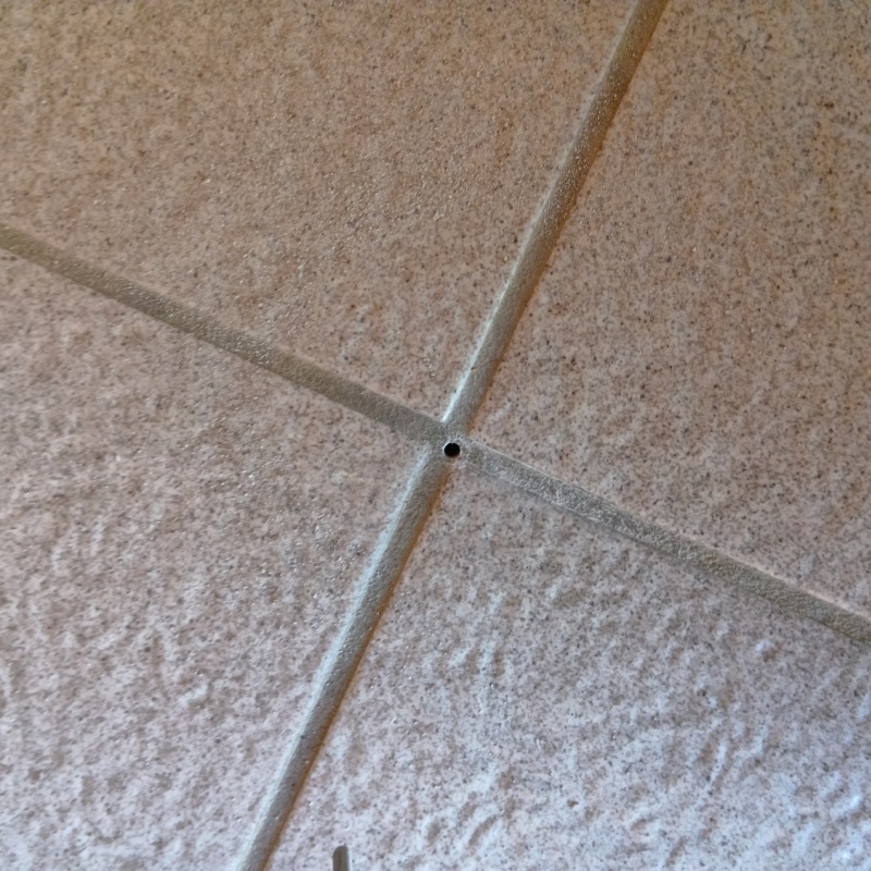 シロアリ駆除剤を注入するための穴を開けた様子