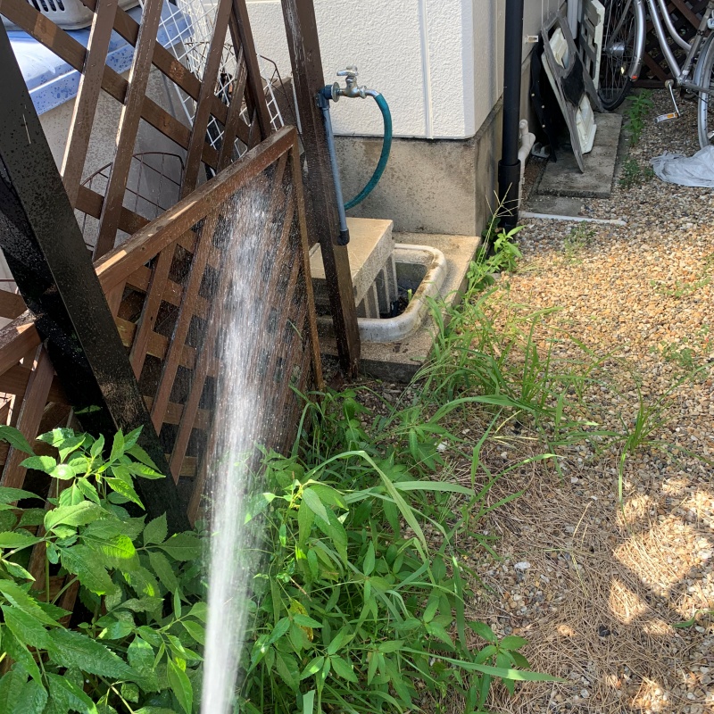 木塀にシロアリ駆除剤を吹き付ける様子