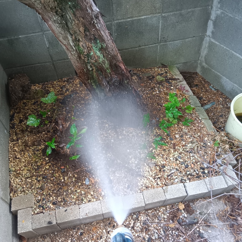 建物外周の土壌にシロアリ駆除剤を散布