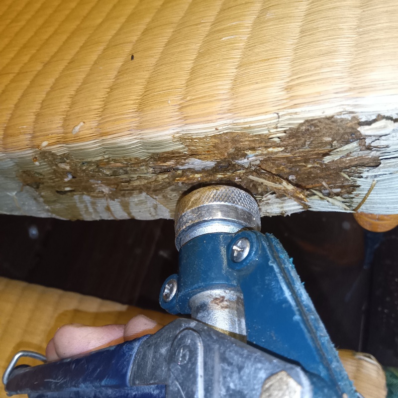 傷んだ畳に穴を開けてシロアリ駆除剤を注入