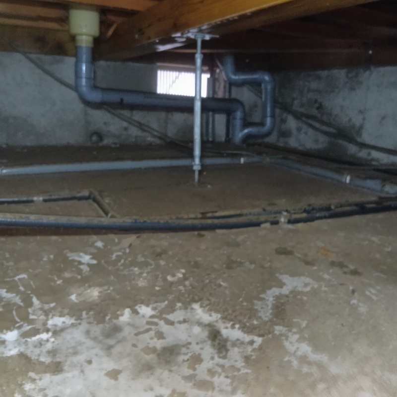 地面・基礎にシロアリ駆除剤を散布した様子