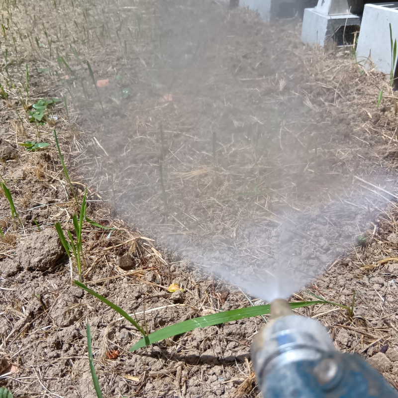 建物外周の土壌にシロアリ駆除剤を吹き付ける様子