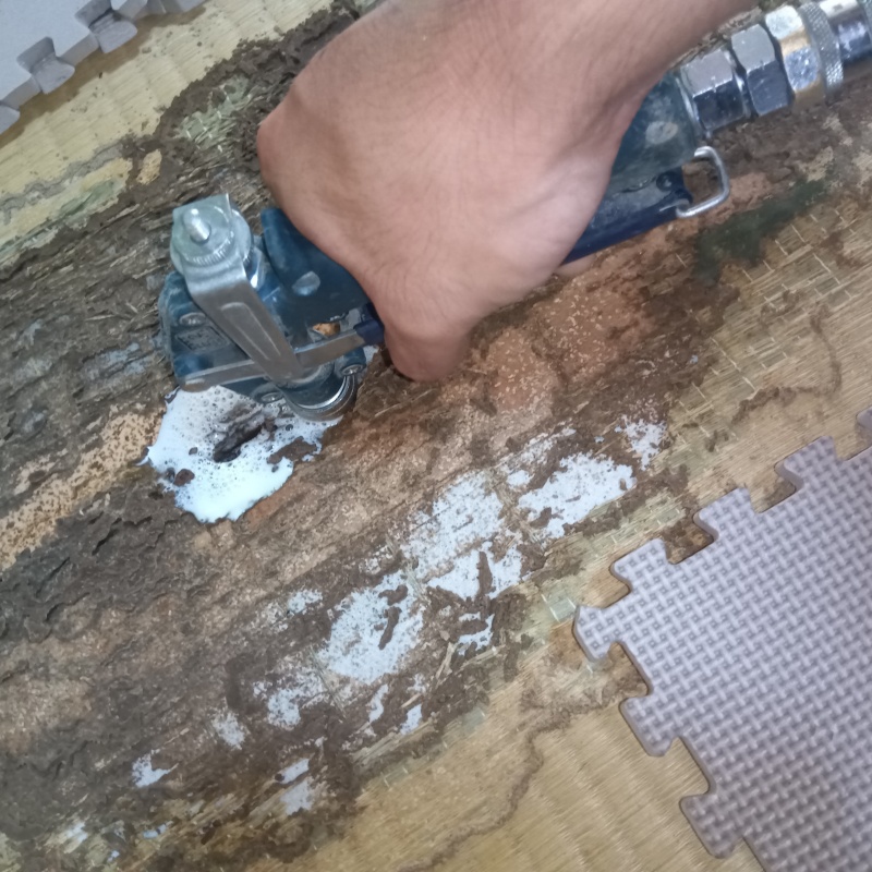 シロアリ駆除の施工事例（長崎県西彼杵郡長与町）