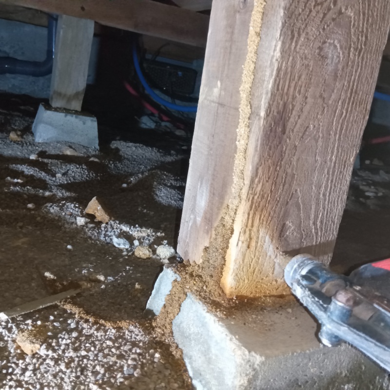 床下木材にシロアリ駆除剤を散布