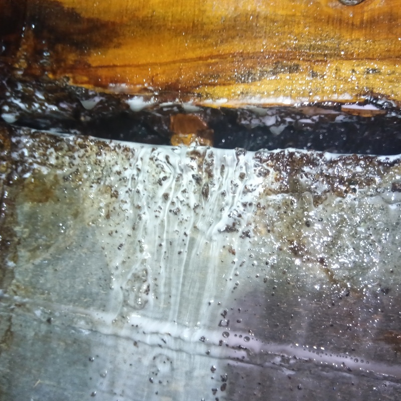 シロアリ駆除の施工事例（高知県高知市一宮西町）