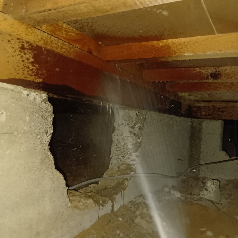 築年数40年のシロアリ駆除の施工事例（香川県観音寺市大野原町大野原）