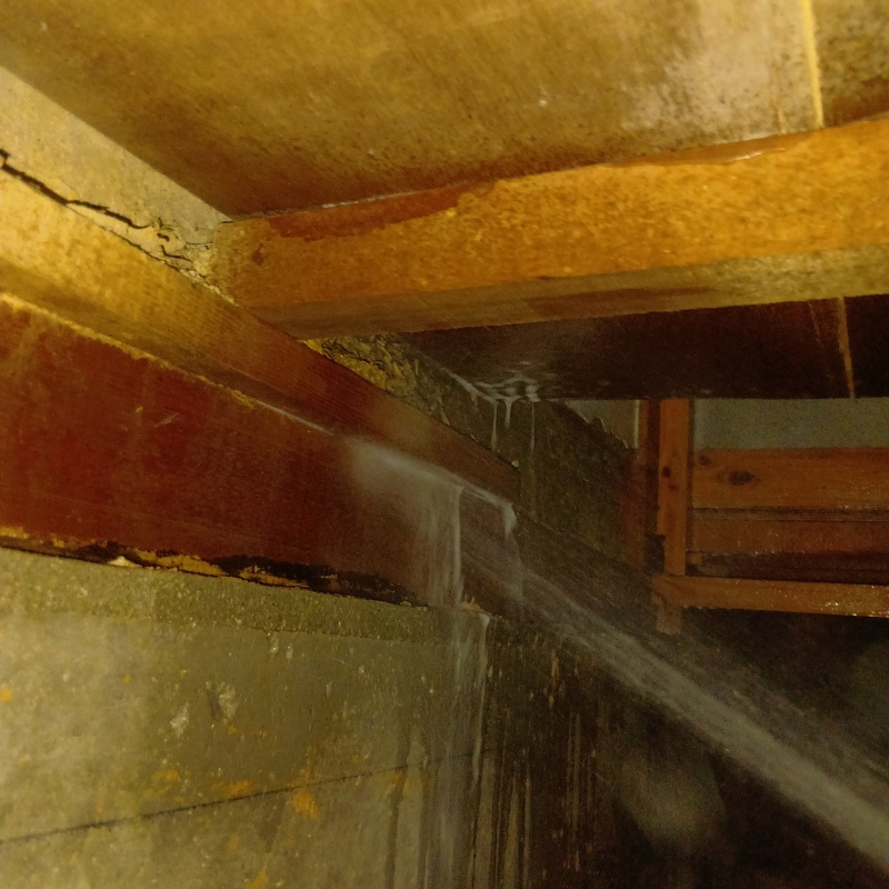 床下木材にシロアリ駆除剤を散布