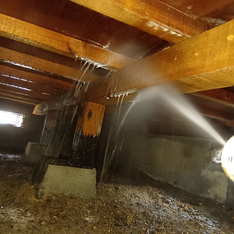 床下木材にシロアリ駆除剤を吹き付ける様子