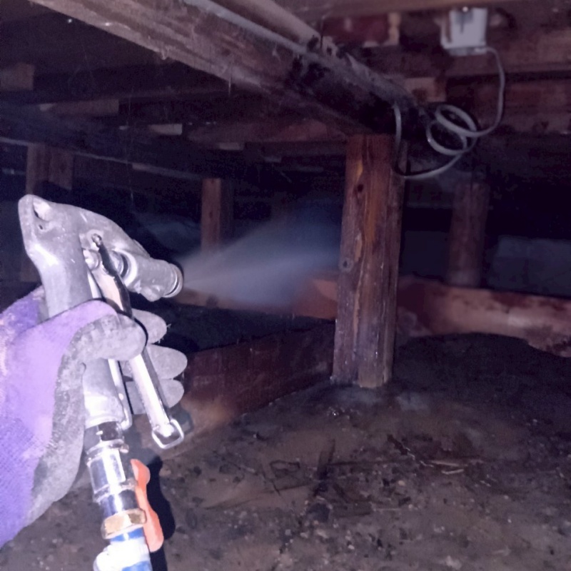 築年数50年のシロアリ駆除の施工事例（三重県津市）