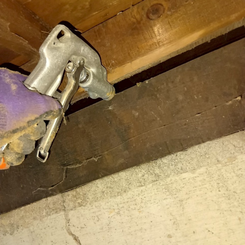 床下木材にシロアリ駆除剤を吹き付ける様子