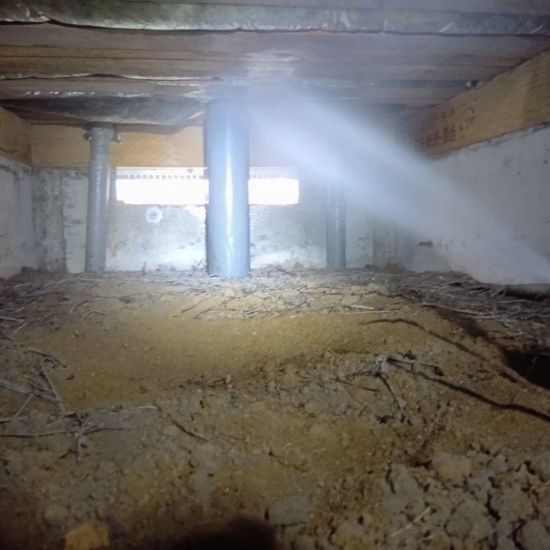 築年数28年のシロアリ駆除の施工事例（千葉県野田市七光台）