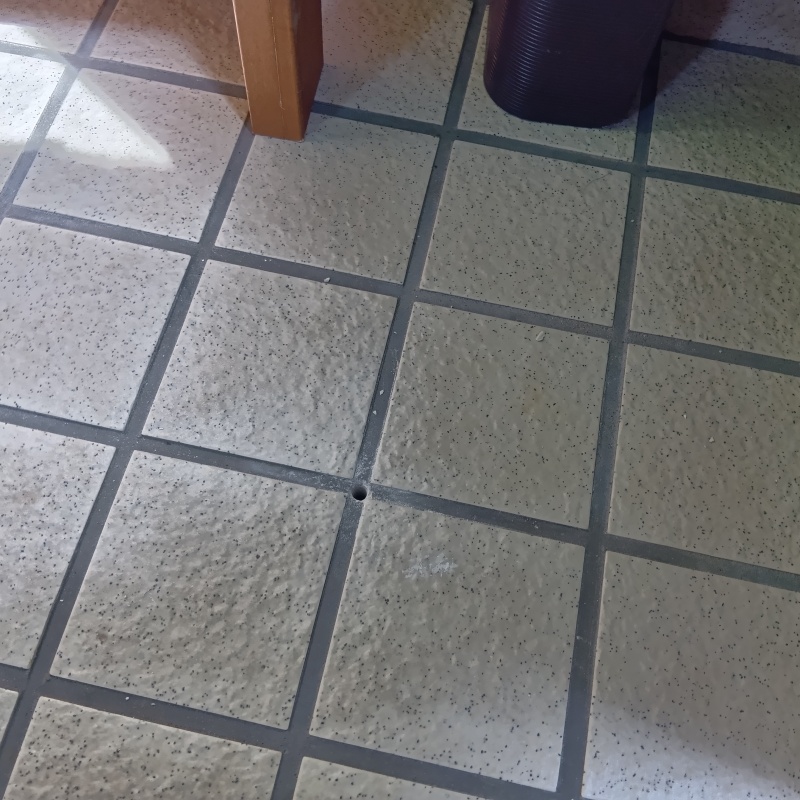 シロアリ駆除剤を注入するための穴を開けた様子