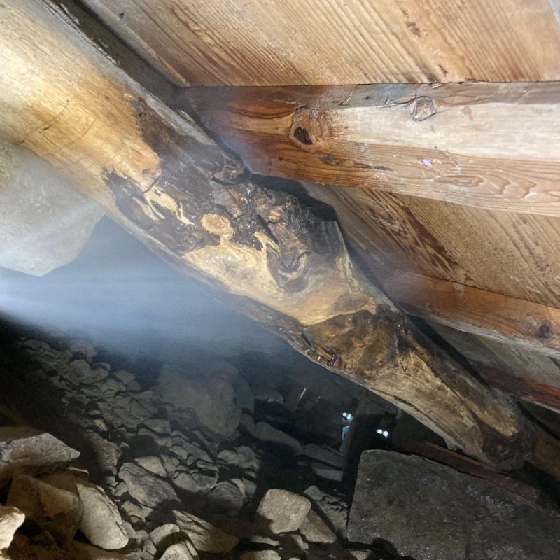 床下木材にシロアリ駆除剤を吹き付けている様子