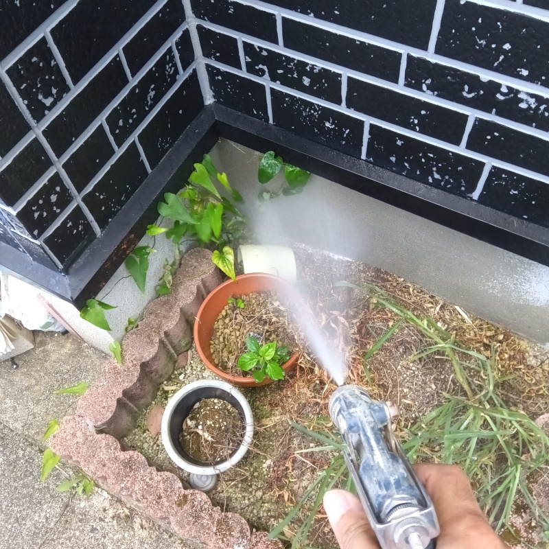 シロアリ駆除の施工事例（長崎県佐世保市木原町）