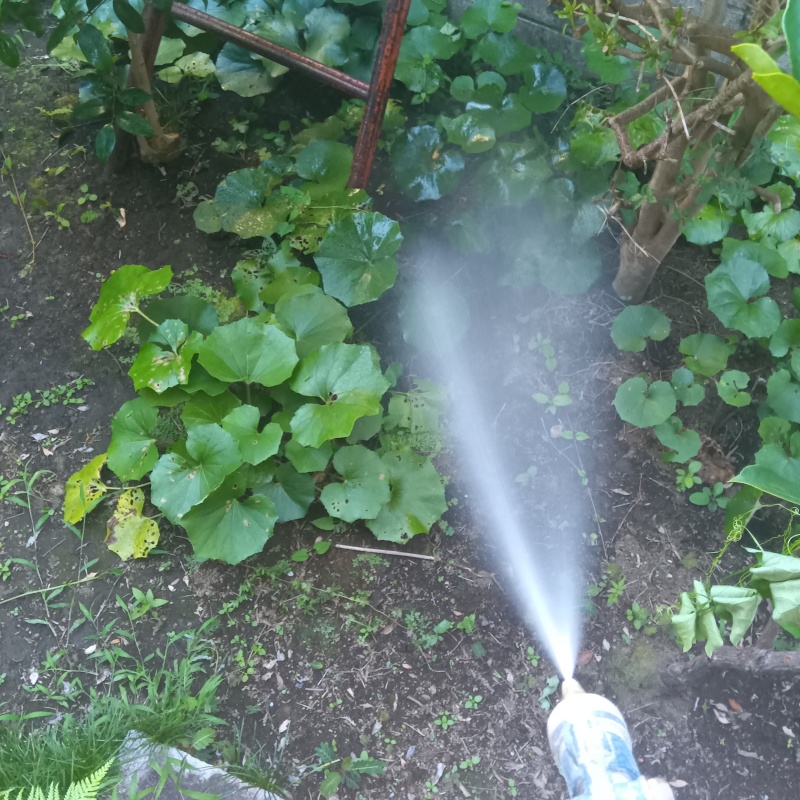 建物外周の土壌にシロアリ駆除剤を吹き付ける様子