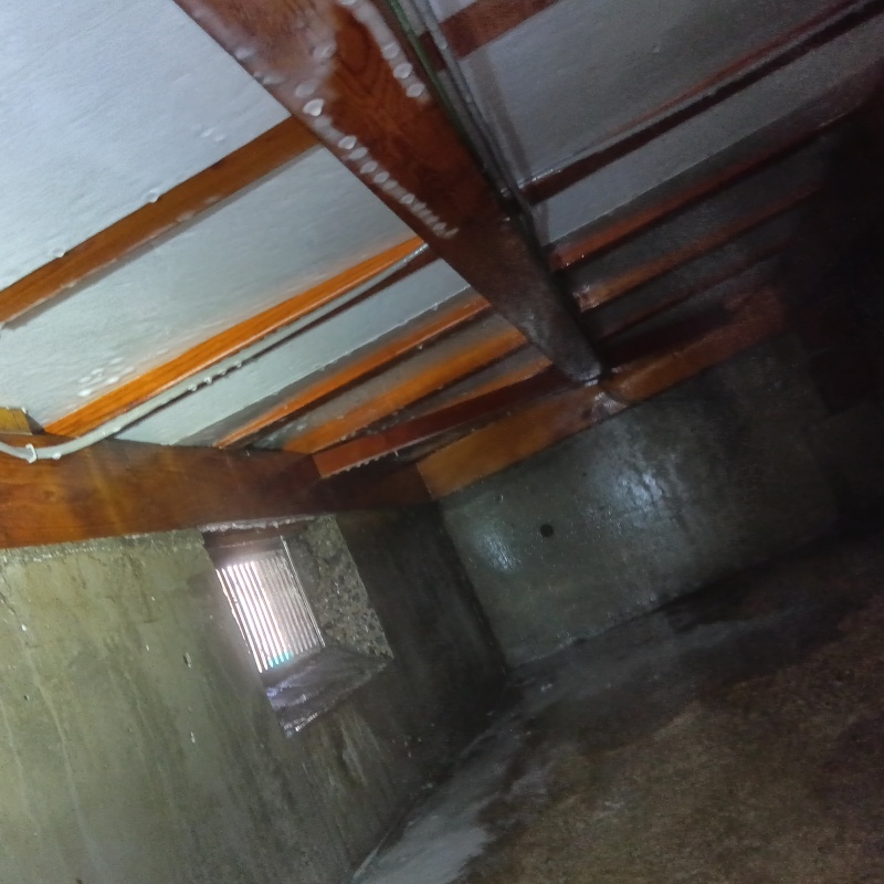 地面・基礎にシロアリ駆除剤を散布した様子