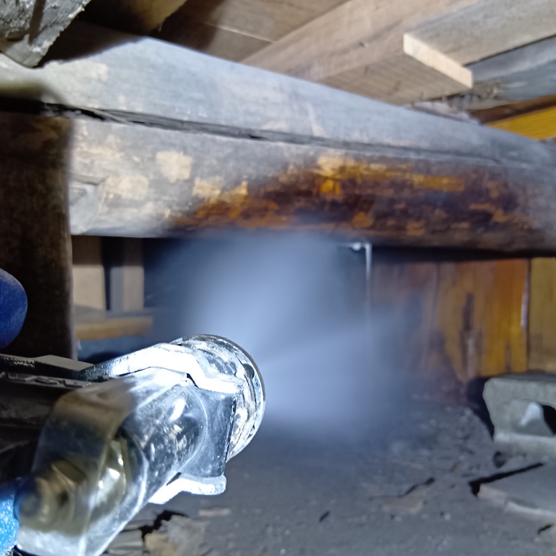 築年数30年のシロアリ駆除の施工事例（群馬県みどり市東町沢入）