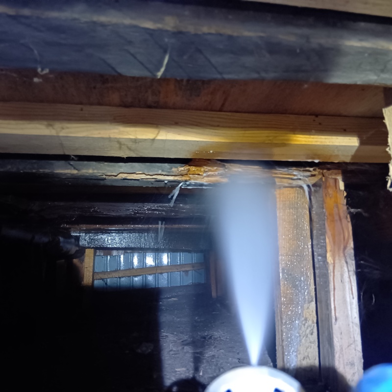 床下木材にシロアリ駆除剤を散布