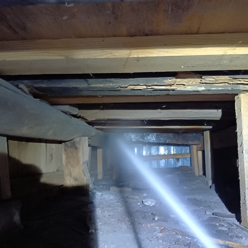 床下木材にシロアリ駆除剤を散布