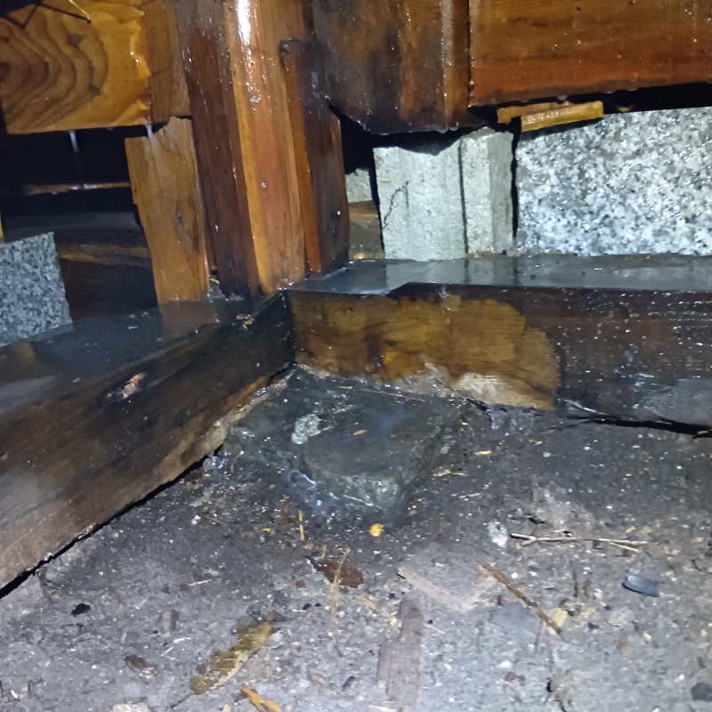 地面にシロアリ駆除剤を散布した様子