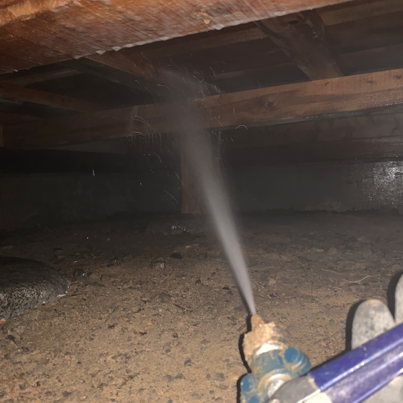 床下木材にシロアリ駆除剤を散布