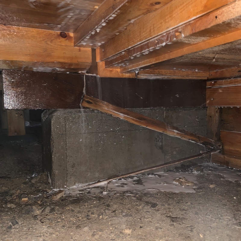 地面・基礎にシロアリ駆除剤を散布した様子