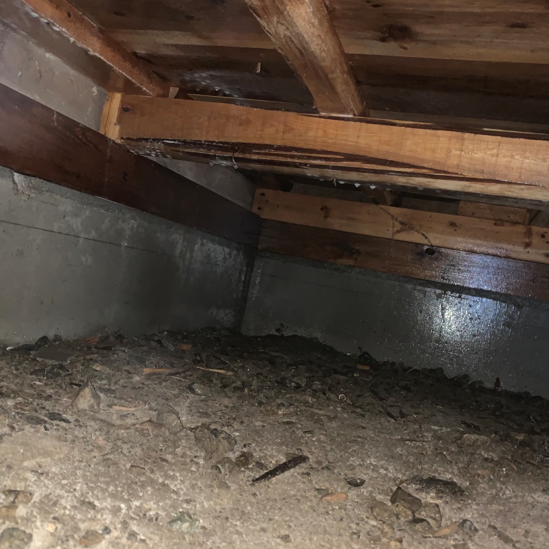 地面・基礎にシロアリ駆除剤を散布した様子