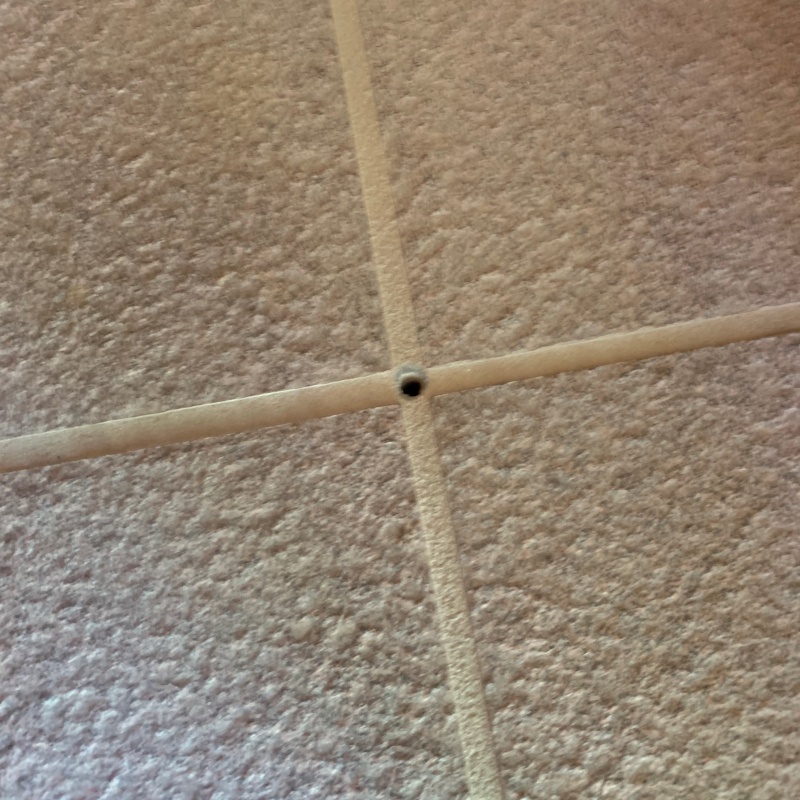 シロアリ駆除剤を注入するための穴を開けた様子