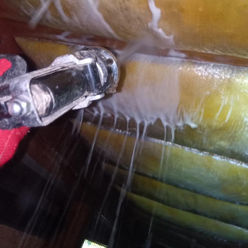 床下断熱材にシロアリ駆除剤を散布