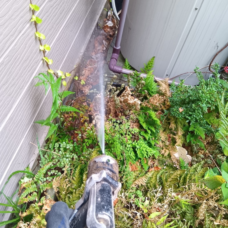 建物外周の土壌にシロアリ駆除剤を散布