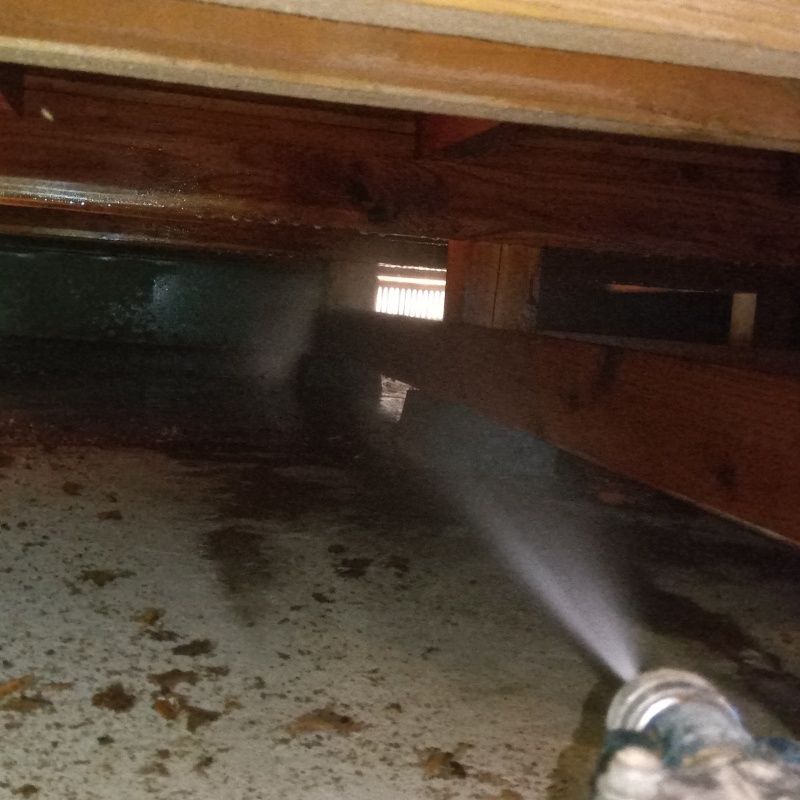 床下木材にシロアリ駆除剤を吹き付ける様子