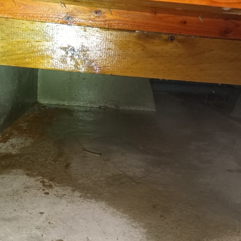 地面・基礎にシロアリ駆除剤を散布した様子