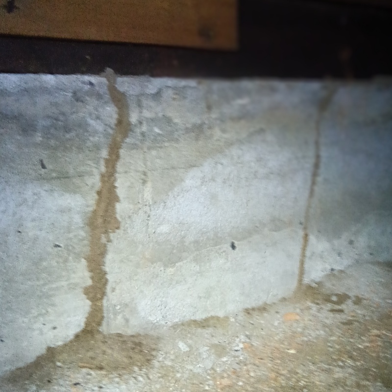 築年数48年のシロアリ駆除の施工事例（愛媛県松山市）