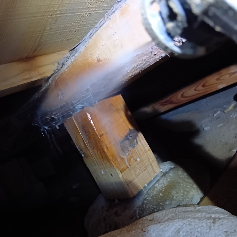 床下木材にシロアリ駆除剤を吹き付ける様子