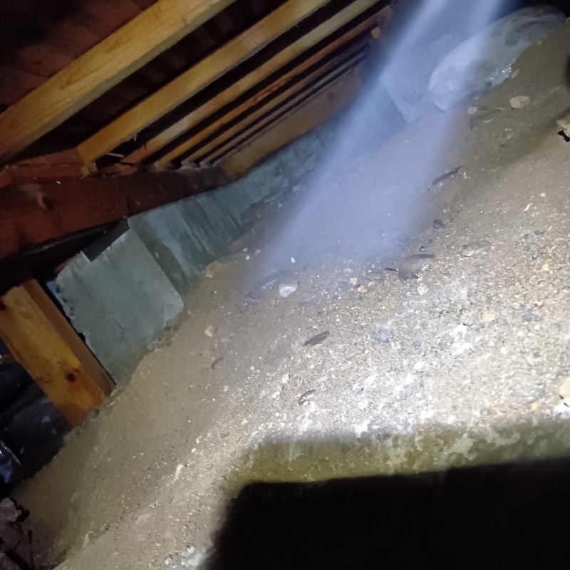 地面にシロアリ駆除剤を吹き付ける様子