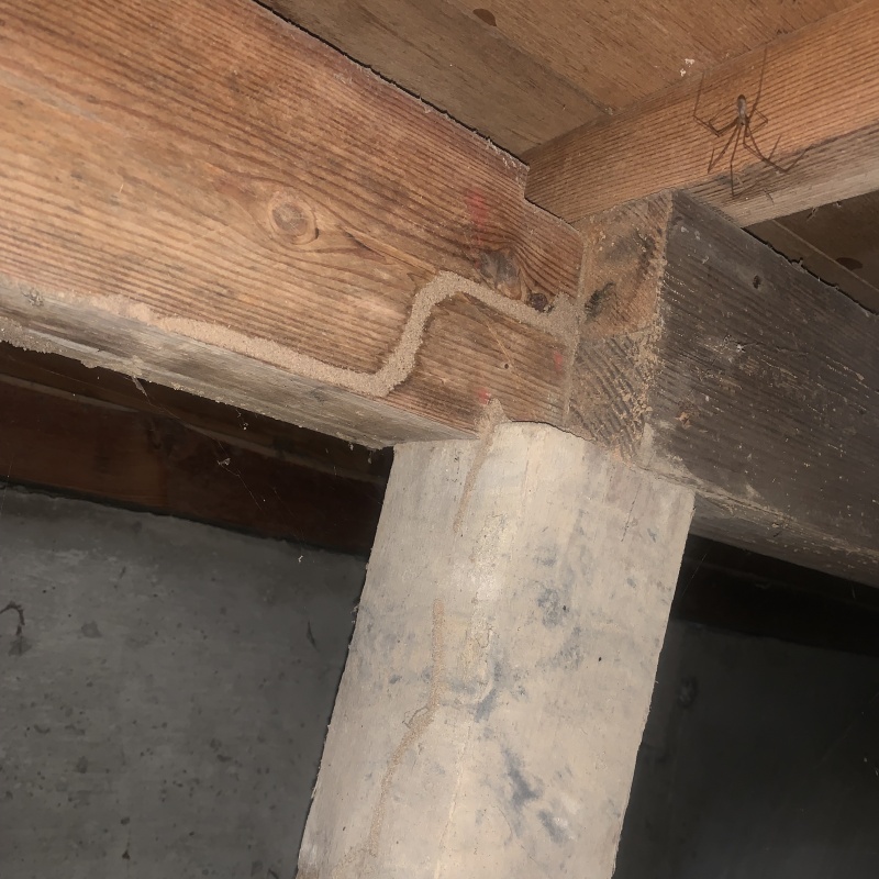築年数50年のシロアリ駆除の施工事例（富山県高岡市中川園町）