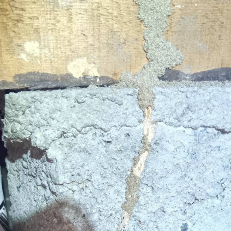 築年数52年のシロアリ駆除の施工事例（愛知県海部郡蟹江町）