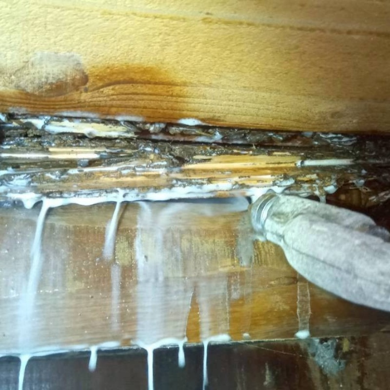 食害を受けた木材にシロアリ駆除剤を散布する様子