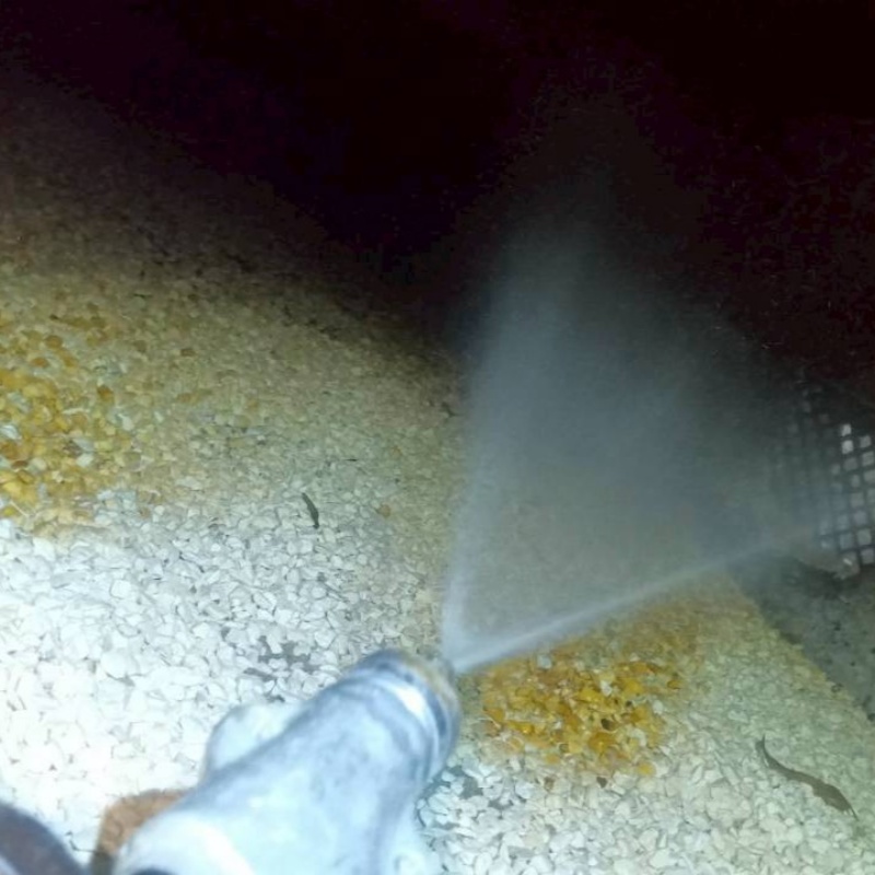 床下の土壌にシロアリ駆除剤を散布する様子