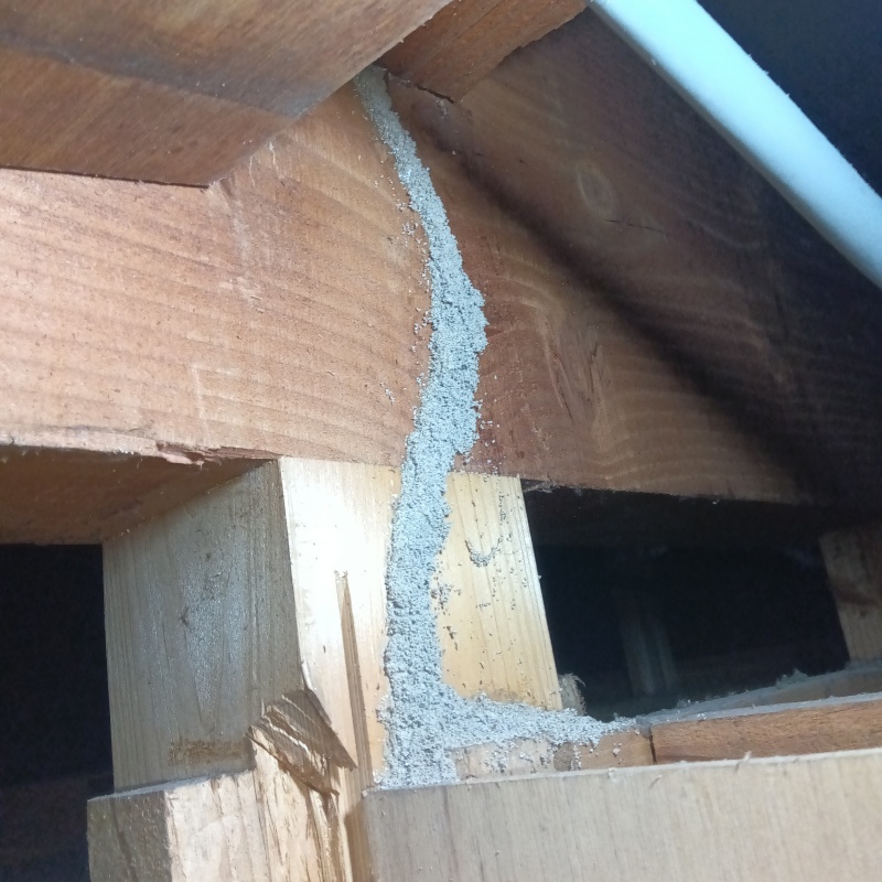 築年数30年のシロアリ駆除の施工事例（佐賀県小城市小城町）