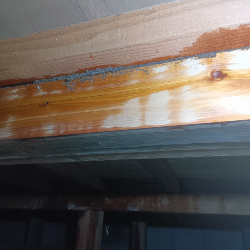 被害を受けた床下の木材にシロアリ駆除剤を散布した様子