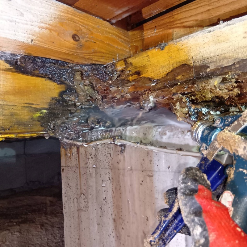 被害を受けた床下の木材にシロアリ駆除剤を散布する様子