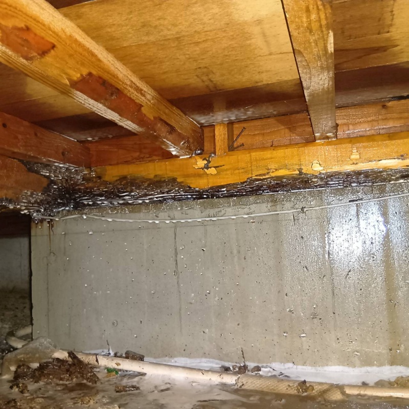 床下の基礎部分にシロアリ駆除剤を散布した様子