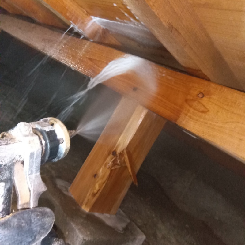 床下の木材に防蟻剤を散布する様子