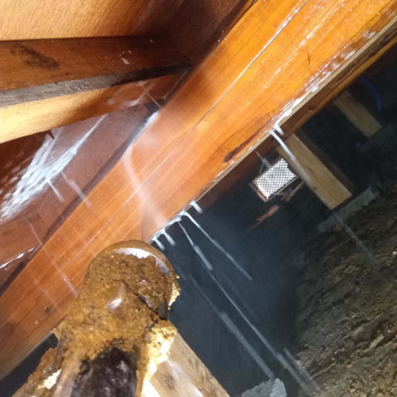 床下の木材に防蟻剤を散布する様子