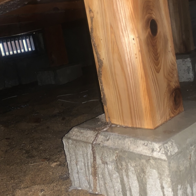 築年数30年のシロアリ駆除の施工事例（福井県敦賀市櫛川）
