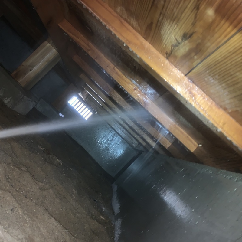 床下の木材にシロアリ駆除剤を散布する様子